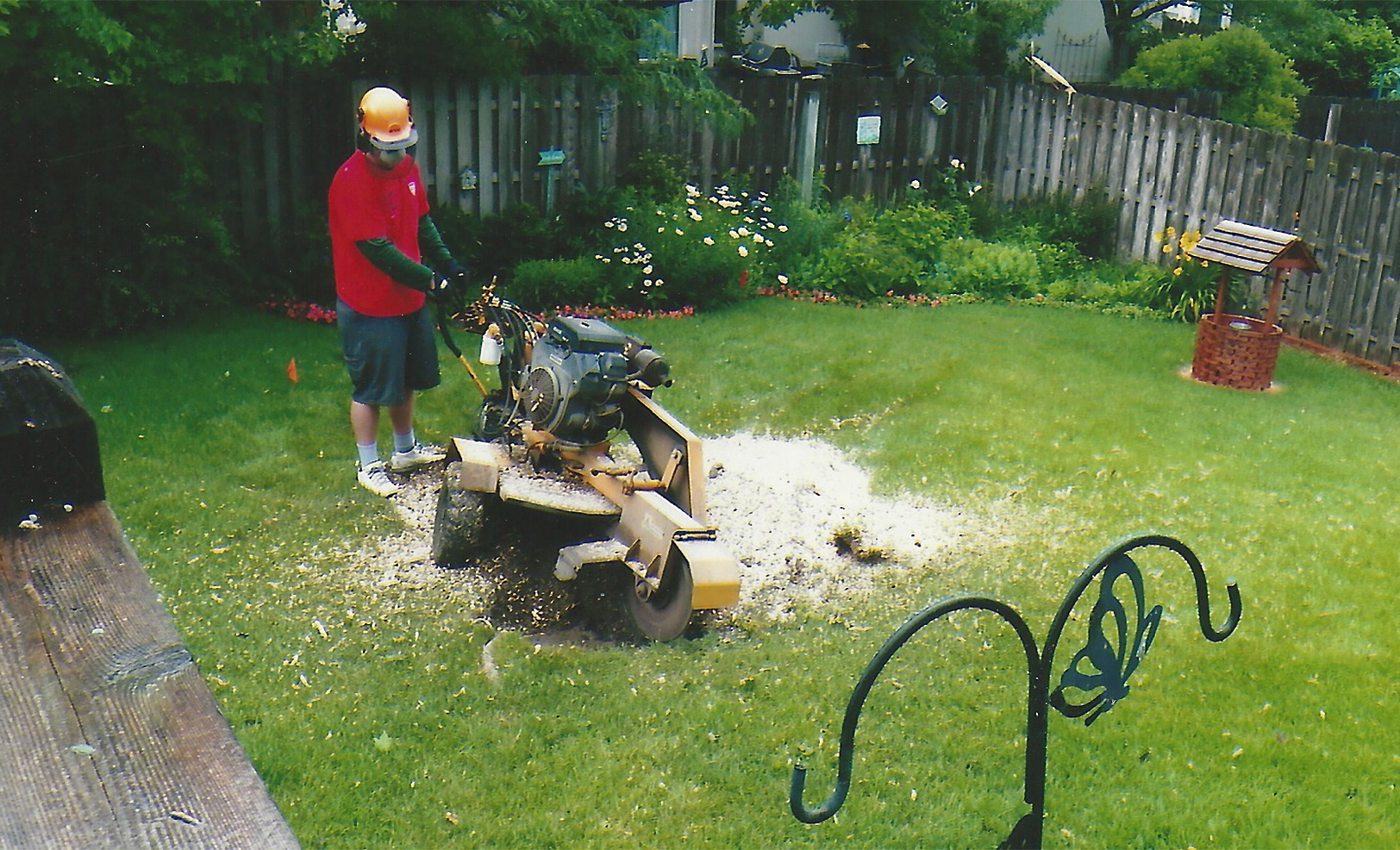 Grinding a stump in a back yard